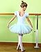 BAOHULU Girls Leotards Ballet Dance Skirted Tutu Dress Short Sleeve Jewels Dancewear