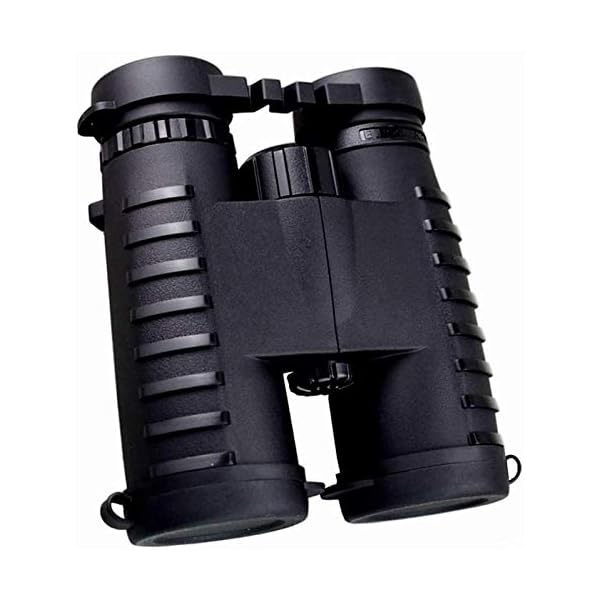 Fernglas, Teleskop Hd 10X42 Fernglas Teleskop Zoom Vision Okular Leistungsstarke kompakte Wasserdichtigkeit für den…