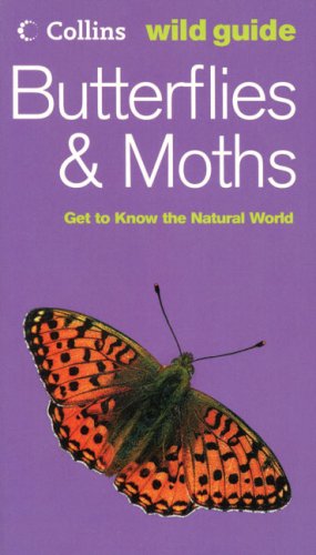 Download Butterflies Amp Moths Get To Know The Natural