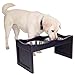 Petsfit Elevated Dog Feeding Station with 2 Replaceable Stainless Steel Bowls for 10 Inches Height Dogs