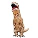 Halloween Inflatable T-Rex Dinosaur Dress Up Funny Simulation Luxury Cosplay Costume Suit (Child Size, Brown)