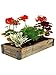 Reclaimed Barnwood Planter Box - Weathered Rustic Flower, Herb & House Plant Garden Barn Wood Planter With Drip Tray