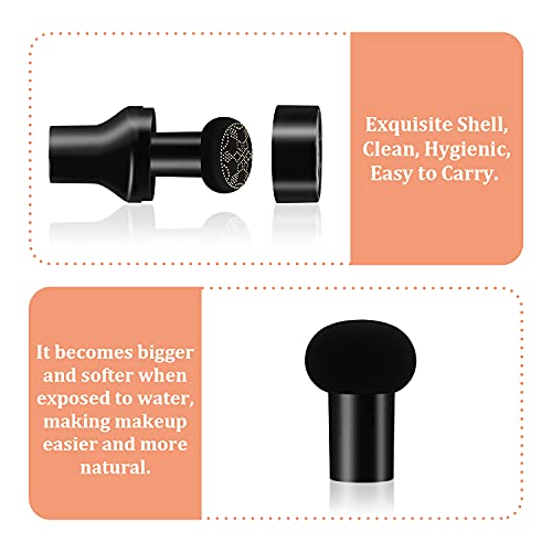 Pinkiou Air Cushions BB Cream CC Cream Mushroomhead Foundation Moisturizing Concealer Hyaluronic Acid Molecule Deep Moisturizing Brightens the Complexion and Lasts for a Ｌong Ｔime（Natural Color）