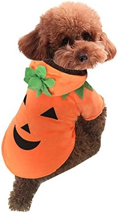 Hemiks Elf Pet Dog Cat Christmas Xmas Costume Santa Pet Apparel Three Dimensional Winter Clothes (S, Halloween Pumpkin)