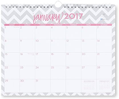 Dabney Lee for Blue Sky "Ollie" 11 x 8.75 Monthly Wall Calendar, 2017