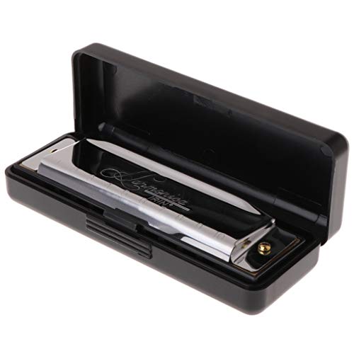 image for Jesse 10 Hole C Key 20 Tone Harmonica, Blues Metal Harmonica Key Educa