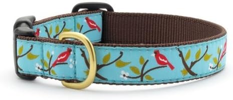 Cardinal Dog Collar with Quick Release Buckle - Large (15"- 21") Width 1 Inch