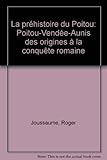 Image de La Préhistoire du Poitou : Poitou, Vendée, Aunis, des origines à la conquête romaine