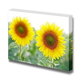 Canvas Prints Wall Art - Sunflowers Blossom | Modern Wall Decor/Home Decoration Stretched Gallery Canvas Wrap Giclee Print & Ready to Hang - 12" x 18"