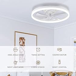 STERREN Ceiling Fans with Lights,20" Low Profile