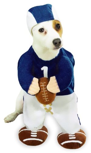 Football Fever Dog Costume MEDIUM