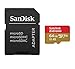 SanDisk 64GB Micro SDXC Memory Card Extreme Works with GoPro Hero 7 Black, Silver, Hero7 White UHS-1 U3 A2 with (1) Everything But Stromboli (TM) Micro Card Reader