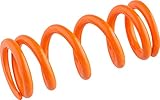 Fox SLS Coil Rear Shock Spring 300lbs x 2.5-2.75