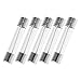 Pack of 5, 3AG10A250V, F10AL250V, F10A 250V, F10 L250V, F10A 250V, F10L250V Cartridge Glass Fuses 6X30mm (1/4 inch x 1-1/4 inch), 10A 250V, Fast Blow (Fast Acting)