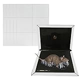 KChoies 5 Pack Thickened Extra Strength Large Mice Rats Insects Sticky Flat Black Glue Traps, Peanut Butter Scented Indoor Outdoor Mouse Glue Boards, White