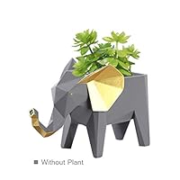 HomeBerry Succulent Cactus Planter Flower Pot Elephant Figurine Sculpture Animal Statue Home Decor Gift Decoration Hand Painted Polyreisn 17cmL