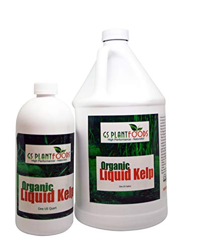 4 Liquid+Natural+Seaweed+Fertilizer+32oz