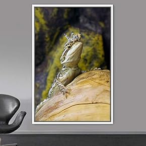 signwin Framed Canvas Wall Art Reptile Contemporary Dramatic...