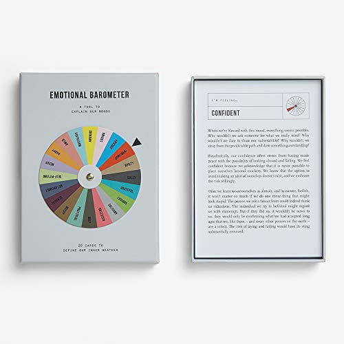 The School of Life - Emotional Barometer - A Tool to Explain Our Moods - Thumbnail 2