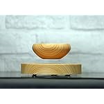 Magnetic Levitation Air Bonsai