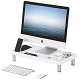 FITUEYES Computer Monitor Riser Laptop Stand Workspace Desktop Organizer DT106003PW