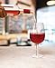 Unique Jumbo Giant Wine Glass - Big Extra Large Size 750 ml Party Drink Dispenser Cool Fancy Bar Drinking Glasses Elegant Beverage Goblet for Occasions -Holds Full Bottle of Wine by Perfect Life Ideas