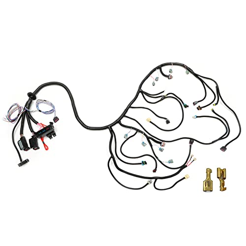 Standalone Wiring Harness, Compatible with 20062015 LS3 LS2 6.2L