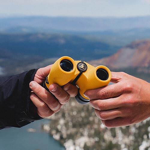 Binoculars For Bird Watching Nocs Provisions Standard Issue 8x25