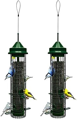 Squirrel Buster Classic 5.3"x5.3"x32" (w/hanger) Wild Bird Feeder with 4 Feeding Ports, 2.4lb Seed Capacity (Pack of 2)