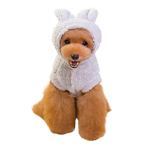 Pet Cat Puppy Warm Winter Cotton Clothes Fashion Cartoon Bear Two-Legged Clothes Pet Shirt Dog Sweater Small Pet Sweatshirt Pig Coat Dog Winter Outfits Doggy Costume Cat Apparel Jacket (Gray, S)