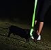 Illumiseen LED Dog Collar USB Rechargeable - Bright & High Visibility Lighted Glow Collar for Pet Night Walking - Weatherproof, in 6 Colors & 6 Sizes (Green X-Large)