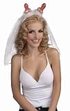 Forum Novelties Outta Control Bachelorette Party Collection Pecker Headband with Veil by Robingift