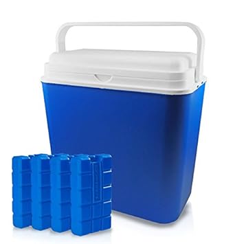 Nevera portátil eléctrica, 12 V, 22 L, mini frigorífico para ...