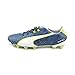 Puma Mens King Ii Fg Firm Ground Soccer Shoe