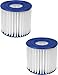 Summer Waves Universal Filter Cartridge Replacement D-Type (2 pack)