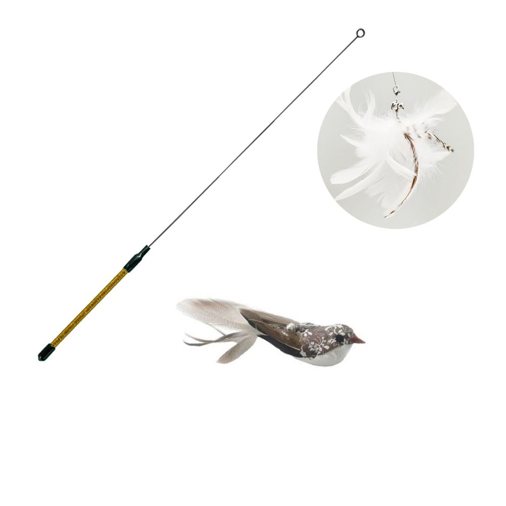 MSLSOZ Cat Teaser Toy Interactive Cat Toy Set for Cats, 1 Pole, 1 Feather Bait, 1 Bird Shaped Bait