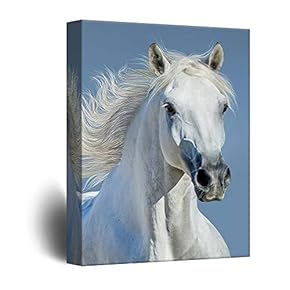Canvas Wall Art - White Horse Portrait - Giclee Print Gallery Wrap Modern Home Art Ready to Hang - 12x18 inches