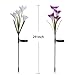 Solar Garden Decorations Outdoor - 2 Pack Erhard Solar Powered Garden Stake Lights with 8 Lily Flower, Multi-Color Changing LED Solar Stake Lights for Garden,Patio,Backyard(Purple and White)