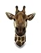 Zeckos Giraffe Bust Exotic Trophy Head Wall Hanging Sculpture