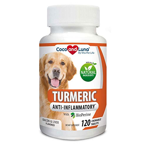Top 10 Dog Supplements With Turmeric of 2020 No Place Called Home