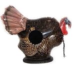 NXT Generation 3D Inflatable Gobbler Turkey Target - Archery Target Practice - Life Size Inflatable Turkey - Suitable for Indoor and Outdoor Play - for Hook and Loop Tipped Foam Darts