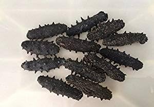 Dried seafood sea cucumber 6 Ounce (170 grams) from South China Sea Nanhai