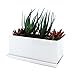 Succulent and Herb Planter Pot with Removable Tray, Window Box In A Modern Ceramic Design