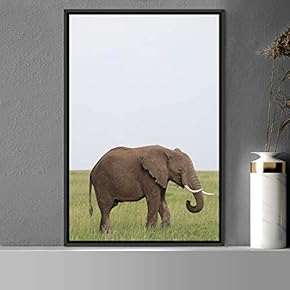 signwin Framed Canvas Wall Art Elephants Animals Dramatic...