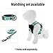Pawtitas 6 FT Padded Dog Leash with Comfortable Neoprene Padding Handle - Teal Lead | Medium Reflective Dog Leash with Highly Reflective Band Perfect for Medium and Large Dogs and Puppies.