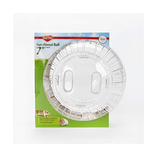 Kaytee-Transparent-Hamster-Ball-Premium-178-cm Kaytee Transparent Hamster Ball Premium, 17.8 cm