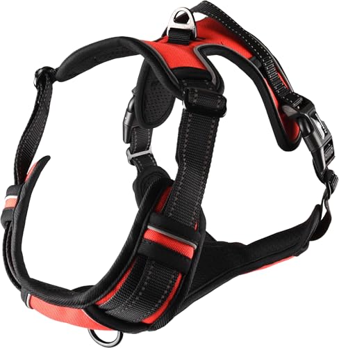 Flamingo Dog Harness Balou Red XL 46-76cm 80-105cm 25mm