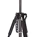 72 Inch Elite Series Professional, Full Size Camera Tripod for Canon, Nikon, Sony, Samsung, Olympus, Panasonic & Pentax + eCost Microfiber Cloth