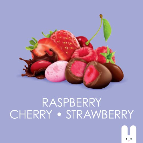 Brach's Jelly Bean Chocolate Mix Bag of FruitFlavored Jelly Beans Dipped in Real Milk