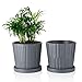 Greenaholics Medium Plant Pots - 6 Inch Grey Cylinder Ceramic Planters with Attached Saucers, Two Line Grain, House and Office Decor, Set of 2